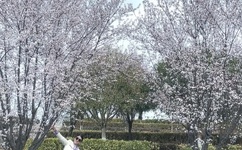 中国现在的空间站叫什么名字